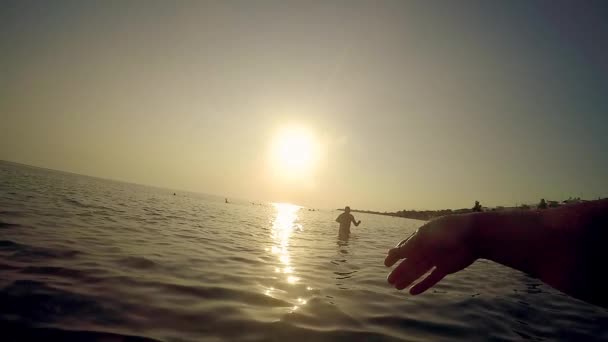 Pareja Enamorada Jugando Frisbee Parque Concepto Estilo Vida Saludable — Vídeo de stock