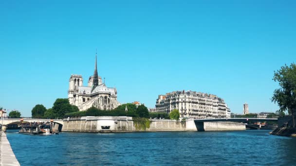 Notre Dame Katedralen Och Floden Seine Med Båtar Soliga Dagar — Stockvideo