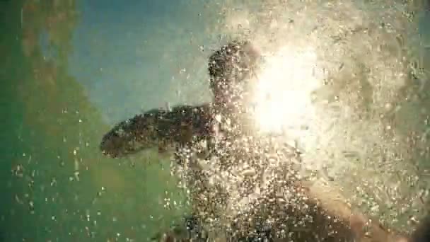 浮潜的人制造气泡防御鲨鱼的攻击 水下鲨鱼 Pov 与日落太阳射线从表面 — 图库视频影像