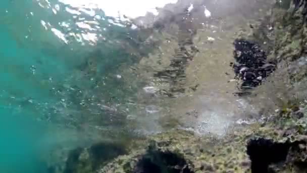 Unterwasseraufnahme Der Kamera Die Auf Meereswellen Von Bunten Riffen Und — Stockvideo