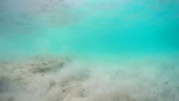 Vervuilde Zeebodem Camerabeelden Drijvend Oppervlakte Golven — Stockvideo