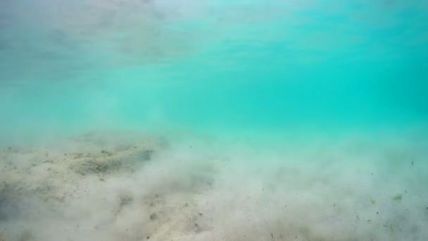 Sol Marin Pollué Par Caméra Flottant Sur Les Vagues Surface — Video