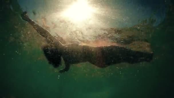 Mujer Flotando Agua Atardecer Fondo Del Mar Pov — Vídeos de Stock