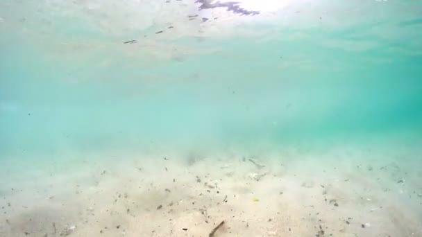 Visa Att Föroreningar Havsbotten Från Kameran Som Flyter Ytan Vågor — Stockvideo