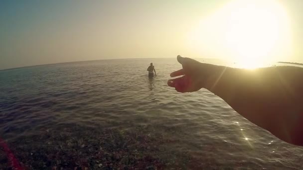 Gente Jugando Con Frisbee Playa Retroiluminada Por Sol Del Atardecer — Vídeo de stock