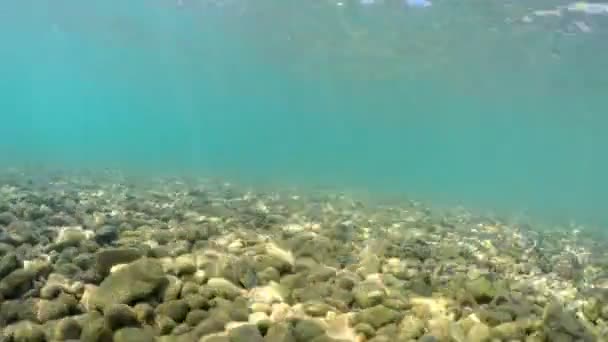 Peces Pov Moviéndose Sobre Fondo Del Mar Con Guijarros Piedras — Vídeos de Stock