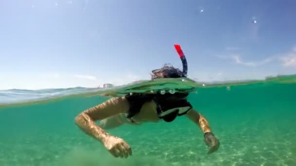 Schnorcheln Weibliche Teenager Roten Meer Gopro Kuppel Halb Unterwasserblick — Stockvideo