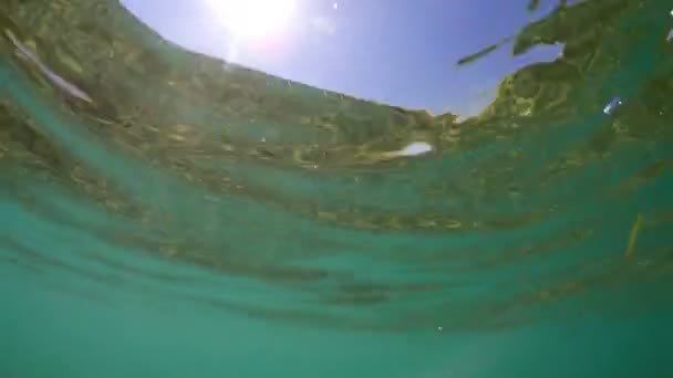 Fondo Superficie Del Agua Sol Brillante Vista Submarina — Vídeo de stock