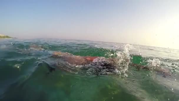 Спортивний Чоловік Плаває Передньою Повзанням Марафоні Проти Сонця Після Пострілу — стокове відео