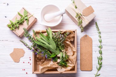 Ada çayı, kekik ve çördük kraft karton kutu içinde