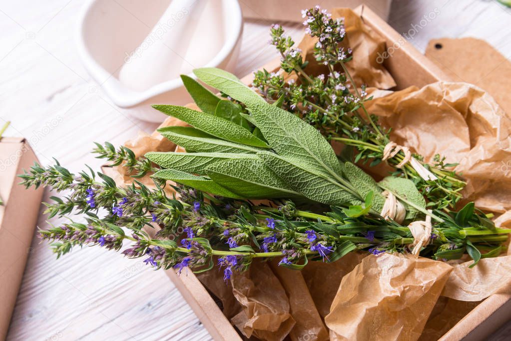 Salvia, thyme and hyssop in kraft cardboard box