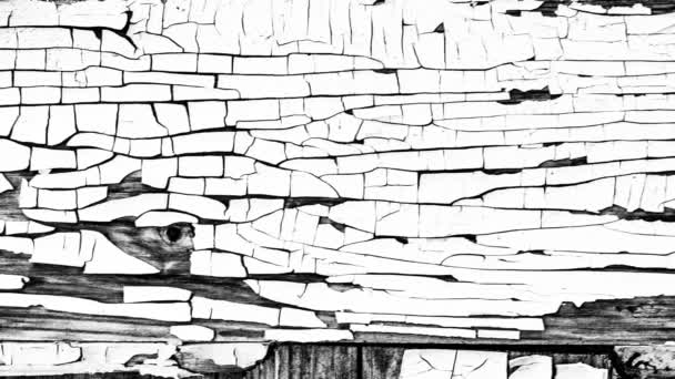 Vieux Bois Peint Fond Mobile Texture Fissurée — Video