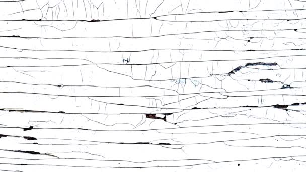 Alte Holz Gemalt Beweglichen Hintergrund Rissig Textur — Stockvideo