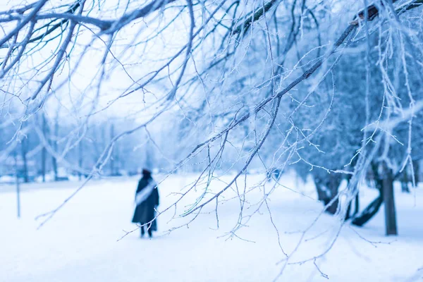 People walking in winter day,