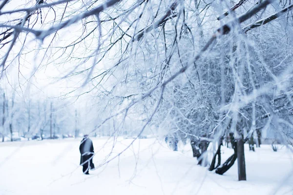 People walking in winter day,