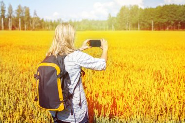 gün batımında çiftçi elinde sarı çavdar ve akıllı telefon dosyaladı
