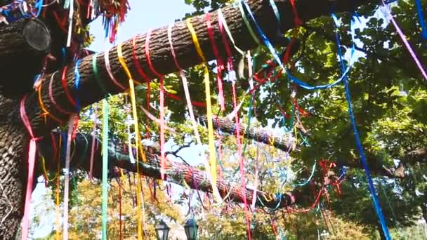 Trädet Parken Dekorerad Med Färgglada Band — Stockvideo