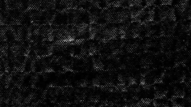 Black White Textile Fabric Animated Texture Background Alpha Channel — Stock Video