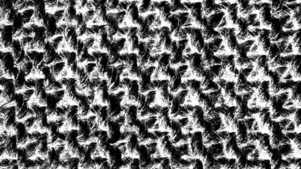 Czarno Biały Tekstylny Tkanina Animowane Tekstury Tło Kanał Alfa — Wideo stockowe