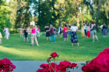 Bölümünde Yoga sınıfı, yaz günü, bulanık