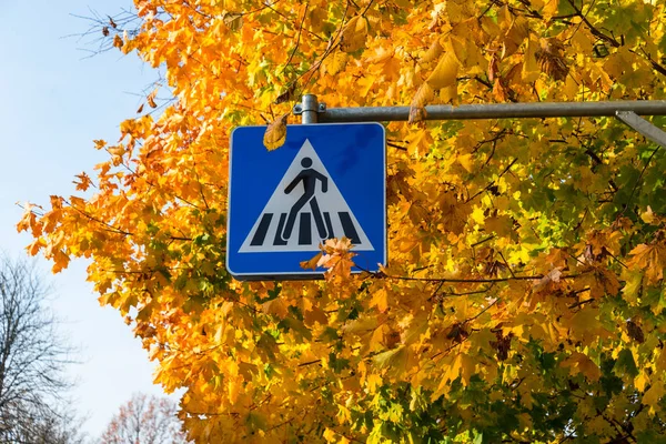 紅葉を背景にした歩行者横断道路標識 — ストック写真