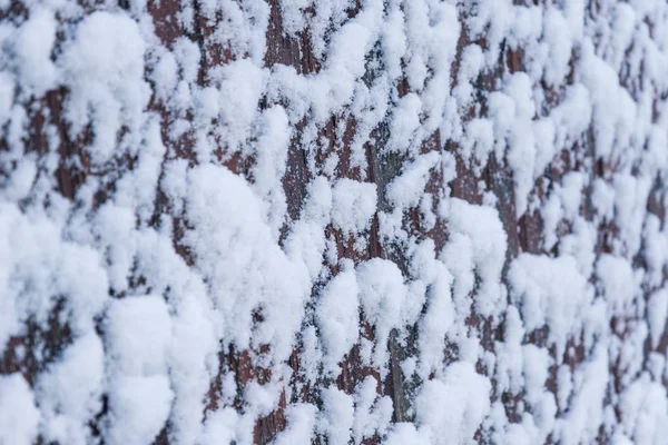 Білий сніг покритий дерев'яною дошкою паркан, текстура, фон — стокове фото