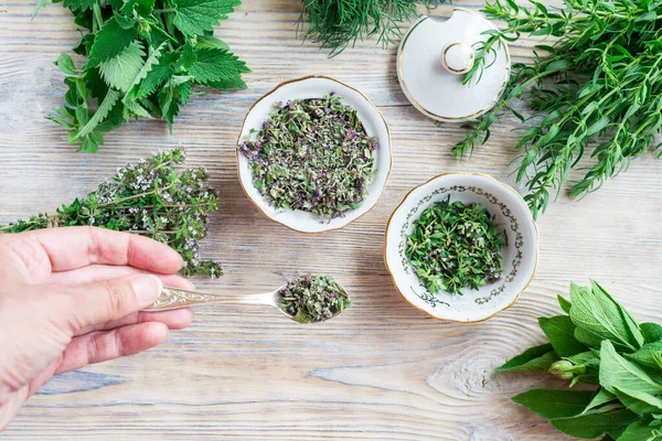 Herbes Fraîches Séchées Lieves Mix Sur Table Bois Prise Main — Photo