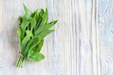 Ahşap arka planda taze salvia yaprakları