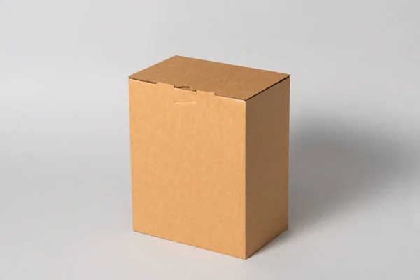 Kahverengi Karton Kutu Izole — Stok fotoğraf