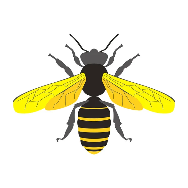 Honey Bee Symbol Vektor — Stockový vektor