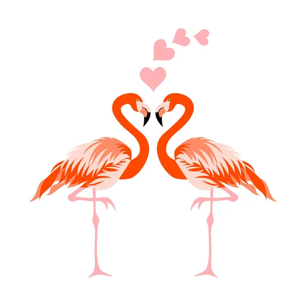 Flamingo Ptak Wektor Ilustracja Zadumany — Wektor stockowy