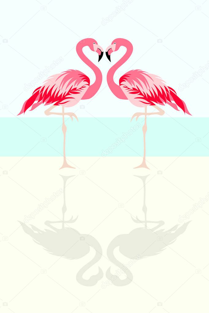 Flamingo bird vector illustration backgroun