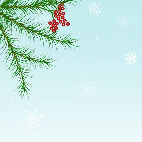 Christmas, winter holiday  greeting card with fir branches, snow — Stock Vector