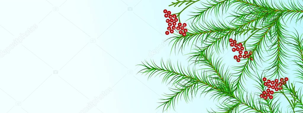 Christmas, winter holiday  border with fir branches and red berr
