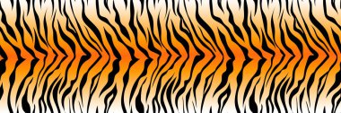Desenli çizgili kaplan ya da zebra derisi izi arka plan, uzun pankart hayvan kürkü, saç dokusu, pürüzsüz 