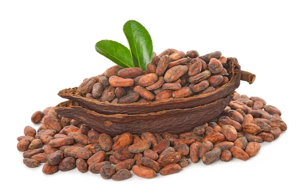 Beyaz arka planda izole kakao çekirdekleri