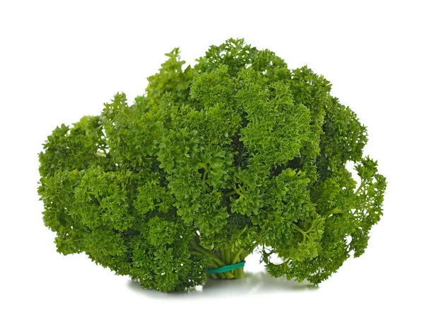 Beyaz arka planda izole edilmiş taze maydanoz