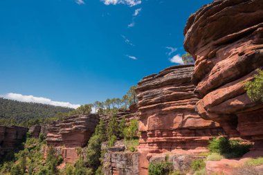 Nehir Gallo Kanyon Guadalajara, İspanya.