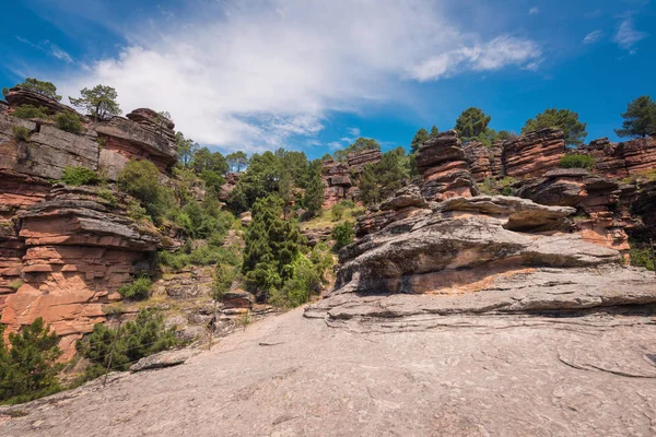 Nehir Gallo Kanyon Guadalajara, İspanya.