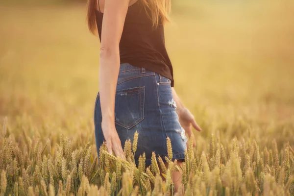 Woman Enjoy Sunset Wheat Field — Stock Photo, Image