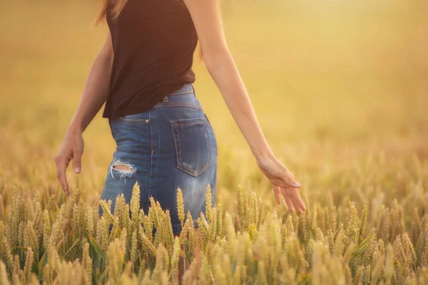 Woman Enjoy Sunset Wheat Field — Stock Photo, Image