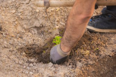 İş yerinde bir çiftçi görünümünü kapat.