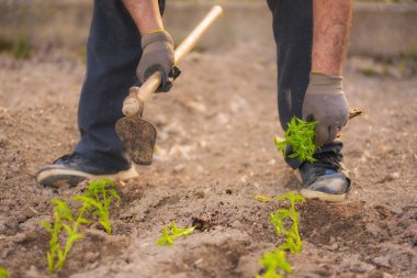 İş yerinde bir çiftçi görünümünü kapat.