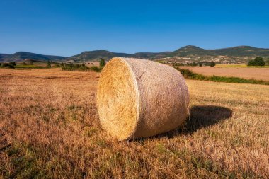 altın alan peyzaj hasat saman Kefalet