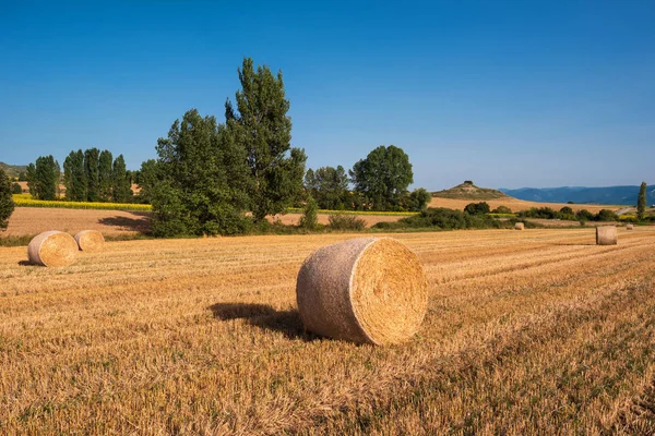 Hay Bail Harvesting Golden Field Landscape — Stock Photo, Image