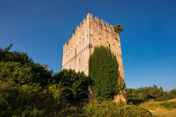 Espinosa Los Monteros Burgos Spanya Daki Ortaçağ Kulesi — Stok fotoğraf