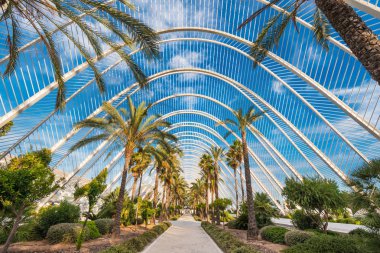 Umbracle modern palm tree park in Valencia, Spain. clipart