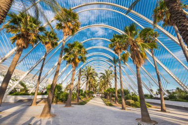Umbracle modern palmiye ağacı park Valencia, İspanya.