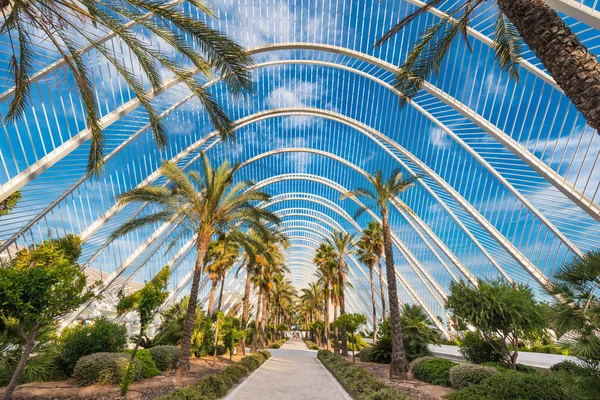Umbracle modern palmiye ağacı park Valencia, İspanya.