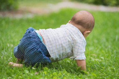 Bebek park otların arasında gezinme